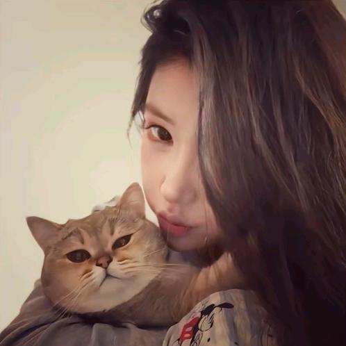 사랑