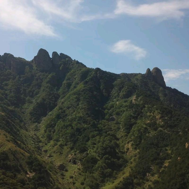 山东大汉