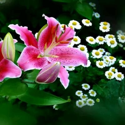 💞໑ຼₒ₂₅小酒窝໑ຼₒ₂₅ 💞