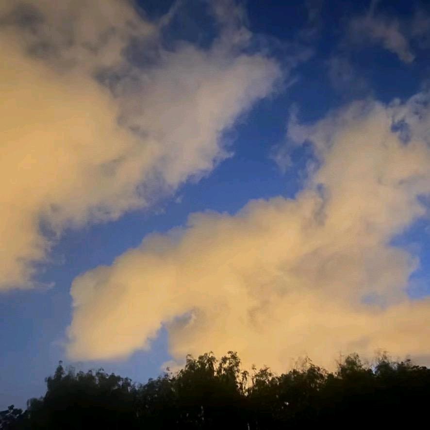 icloud