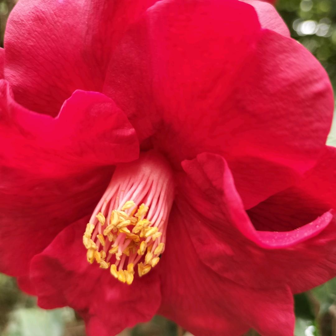 💞᭄᪲ᩚ꯭随心꧔ꦿ℘所于💕এ⁵²º?