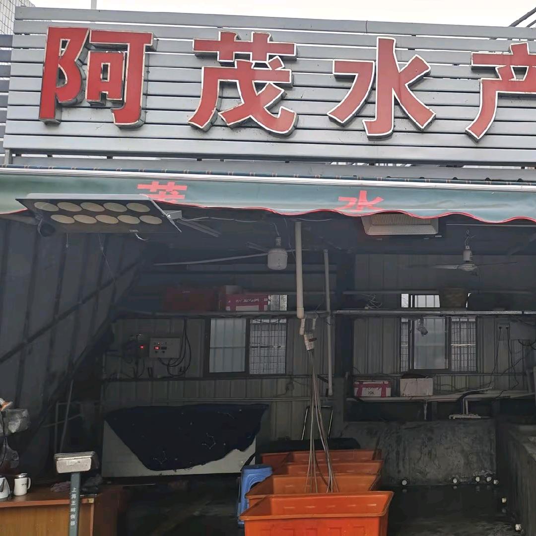 饶平县阿茂水产沙洲批发海鲜A05