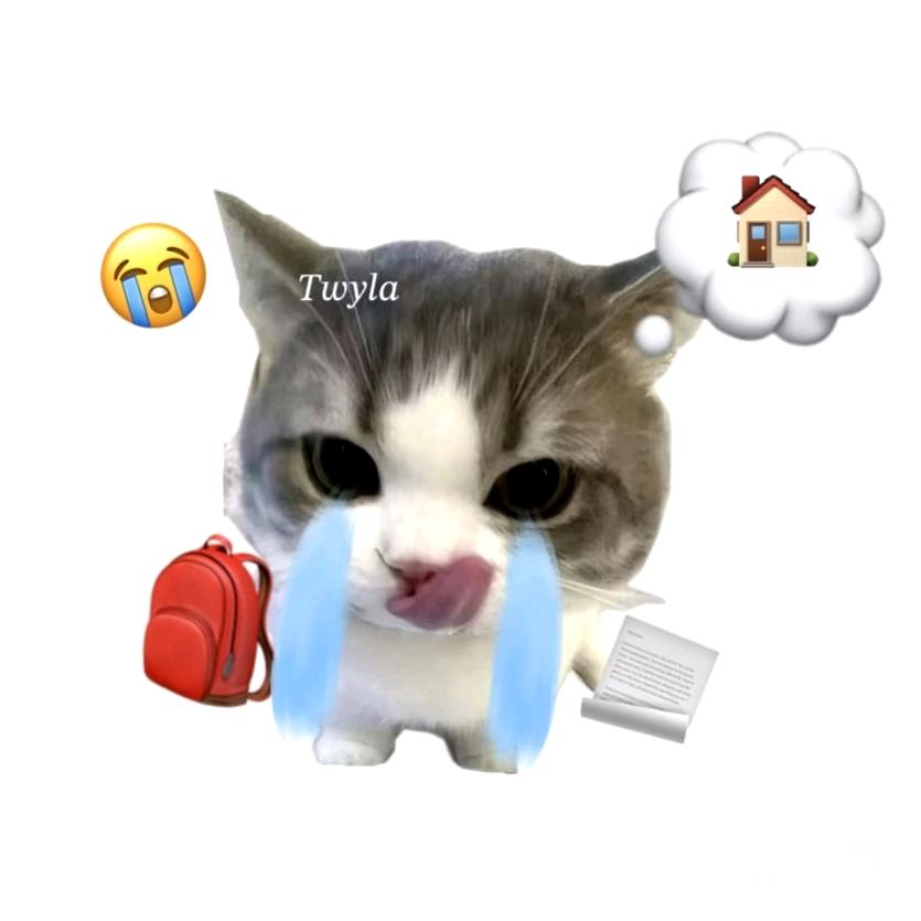 不如一默🤫