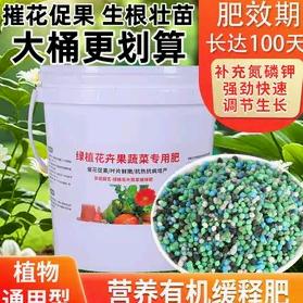 卿烁小李