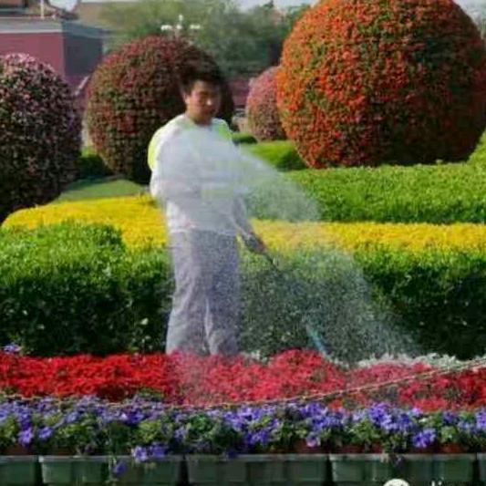 天各一方
