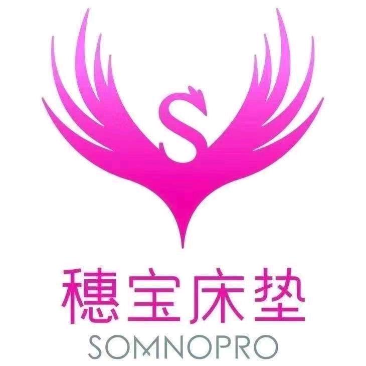 穗宝床垫航天居然之家店