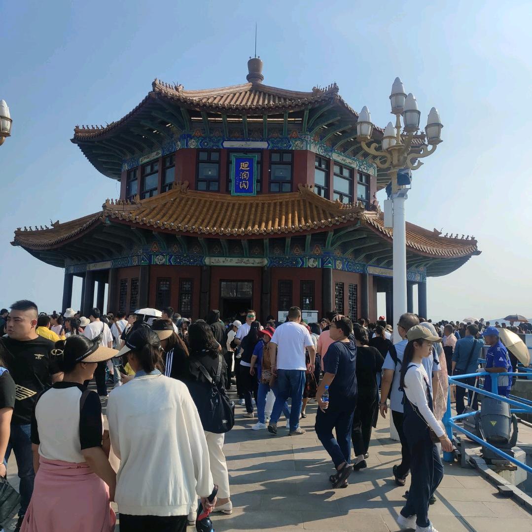 鼠兔生辉