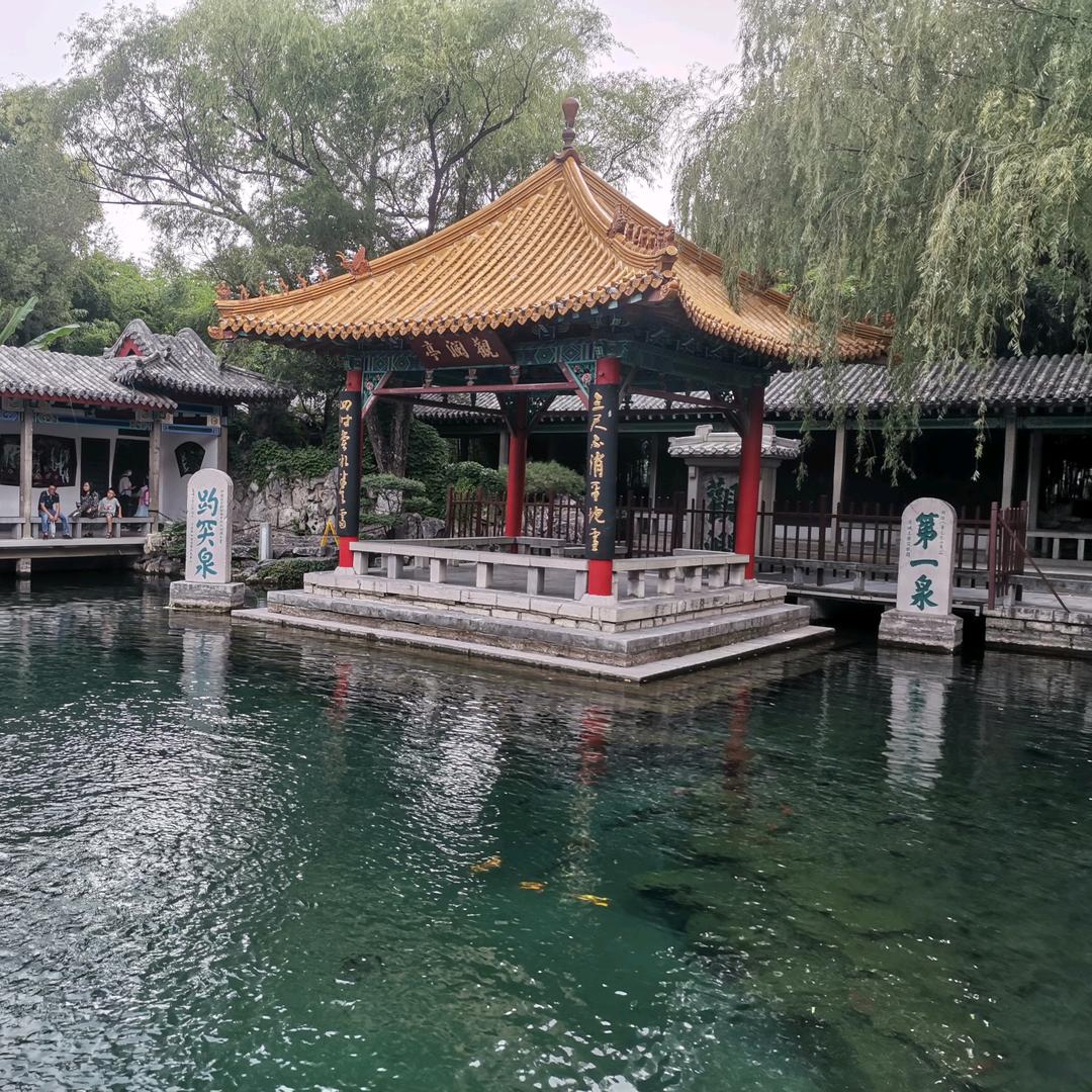 王某（惠迪吉）