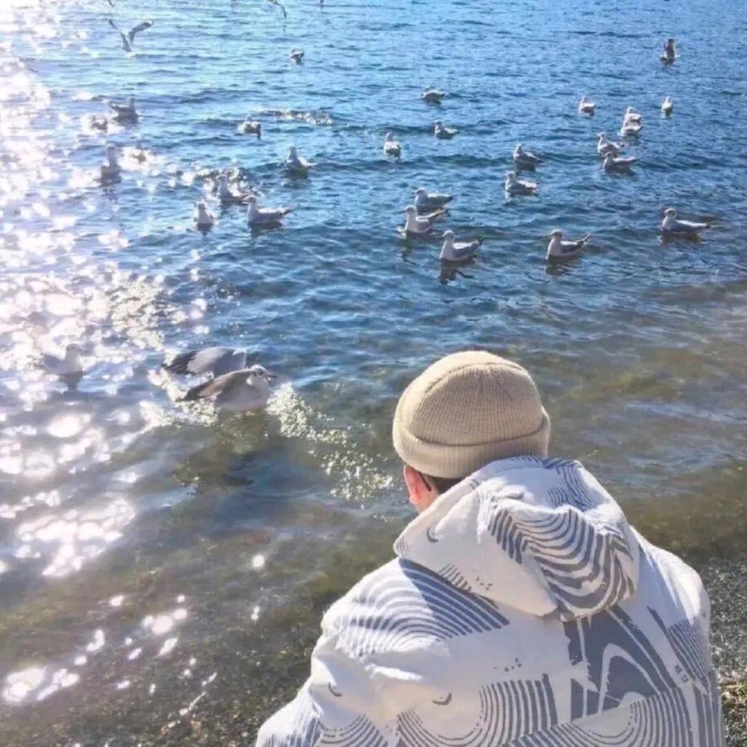 老李做电商（tk跨境）