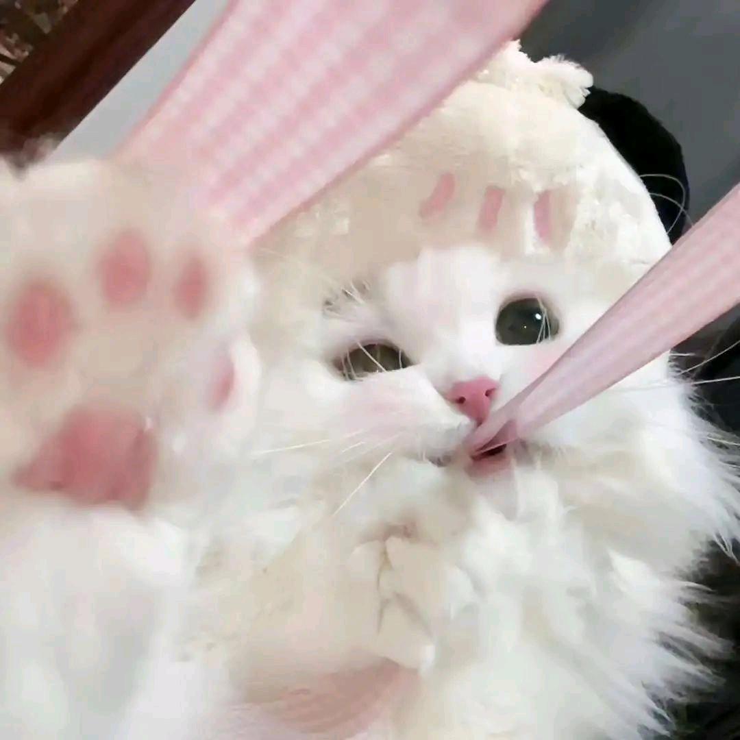 还不曾去过倒悬山