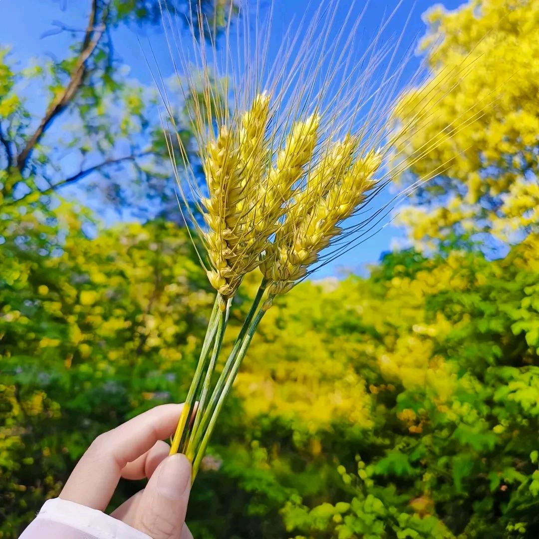 笑敬过往