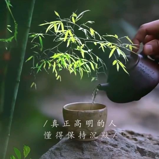 ( ˃̶̤́歲玥 ˂̶̤̀ )