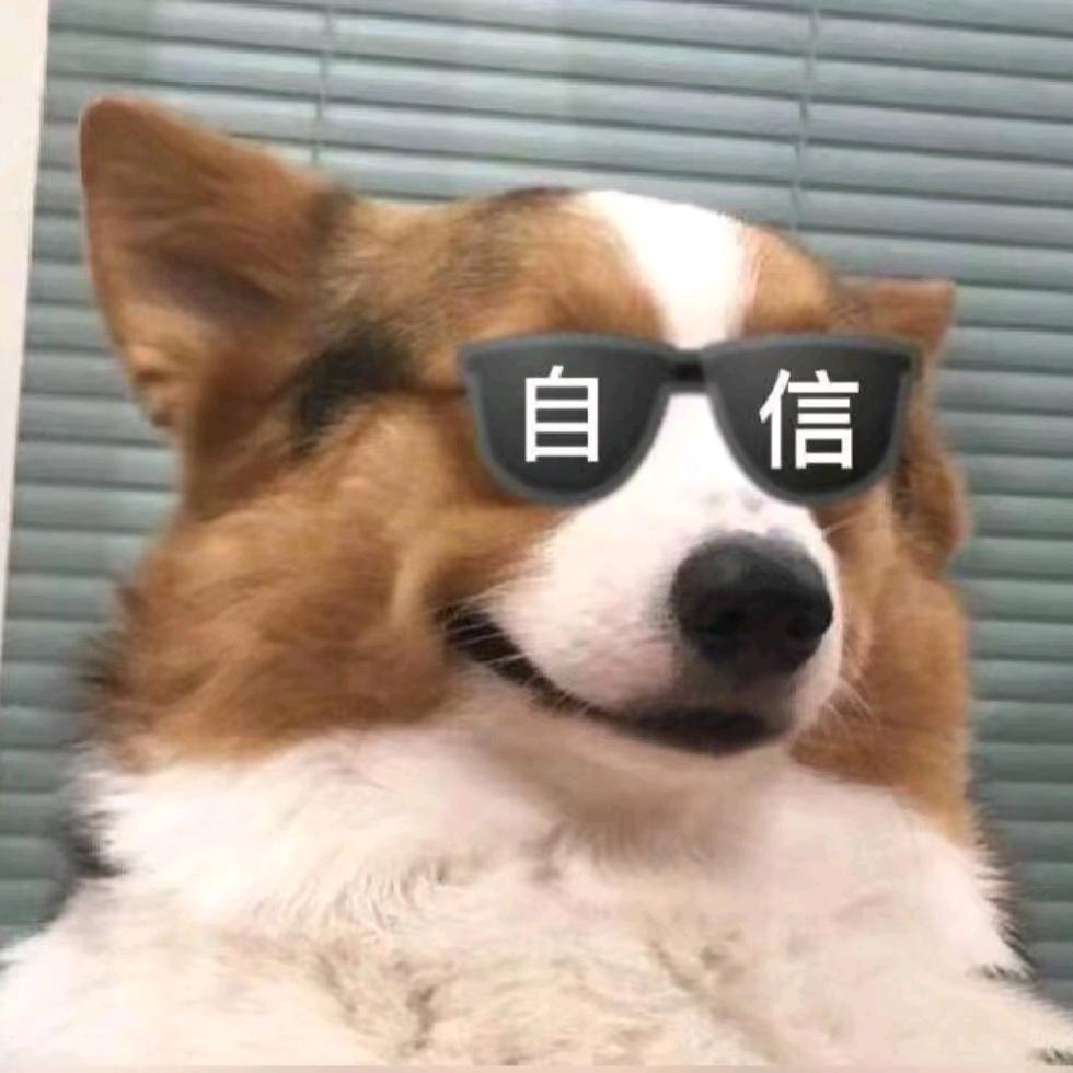 心意随你
