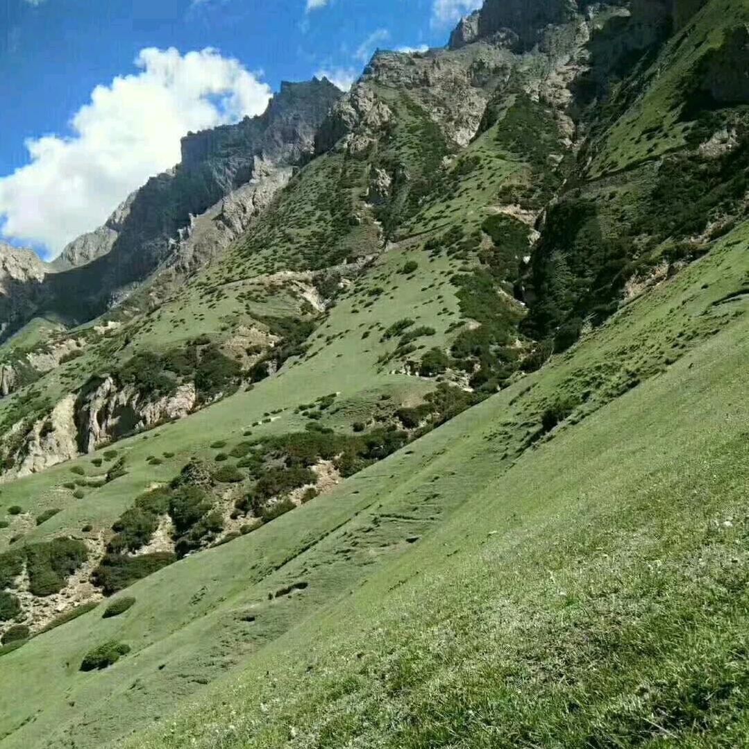 用户5868910849931