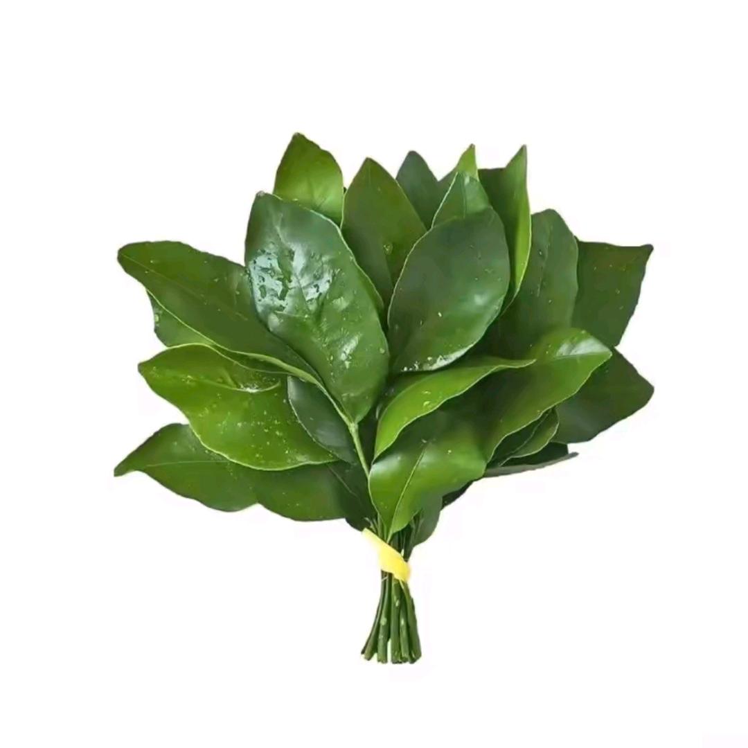 输给期待