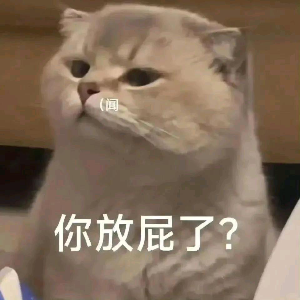 一条闲🐟