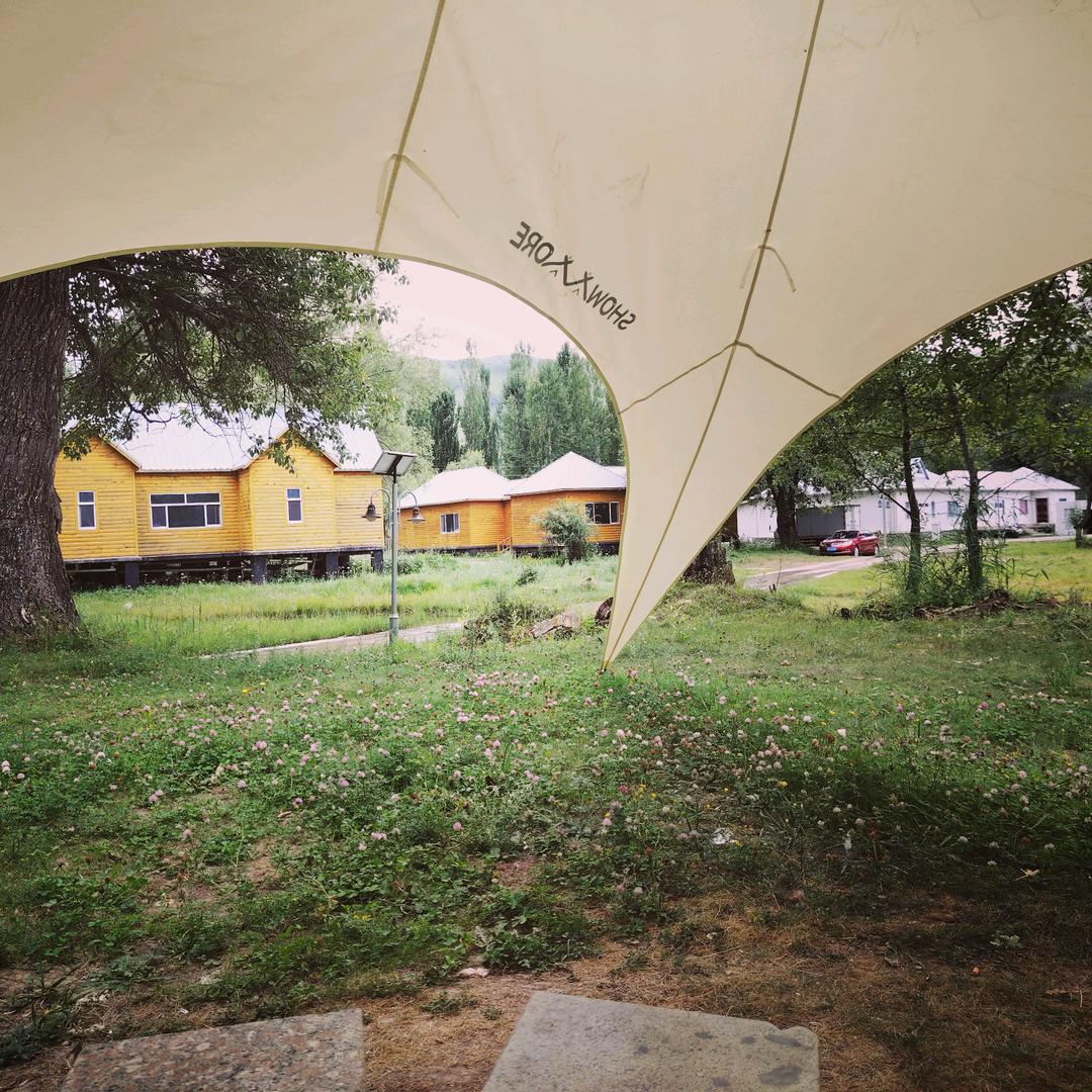 顺其自然(｡･ω･｡)ﾉ♡