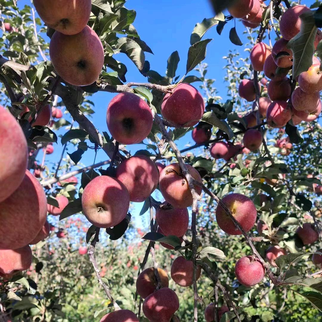 云南大山🍎