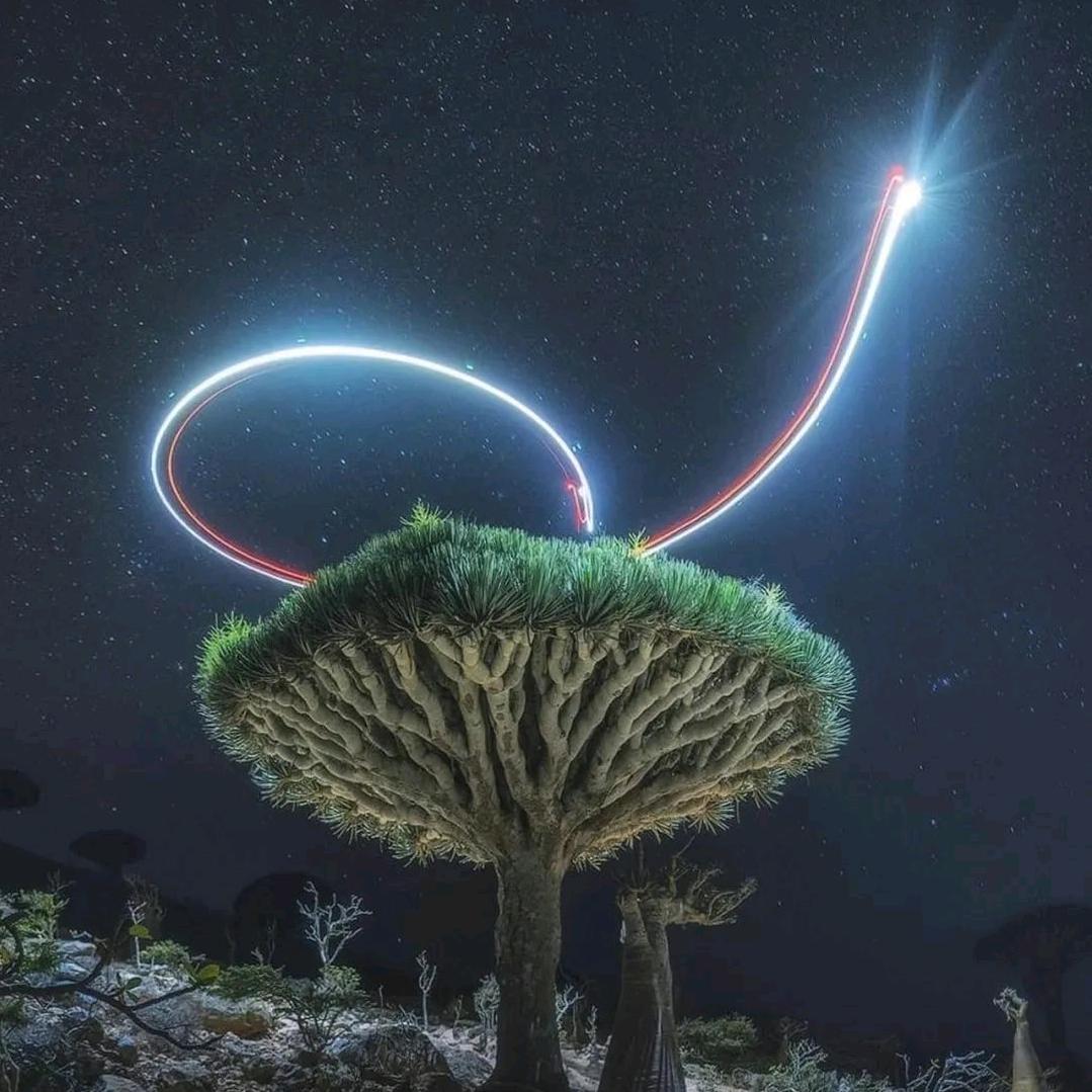 唐少