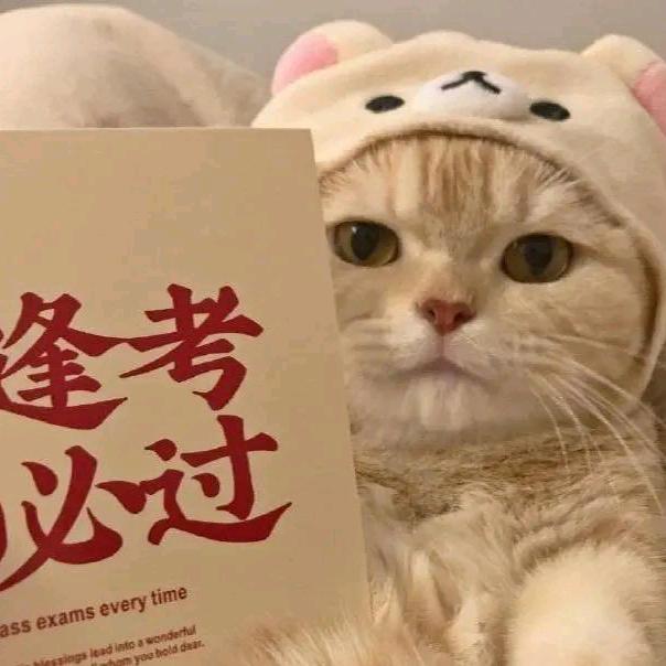 你一定要上岸吖(主页领取)