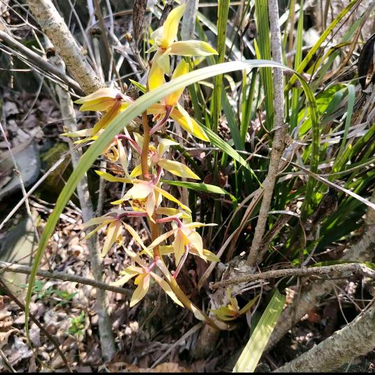 @ꦿ໊余生᭄🕊请指教᭄