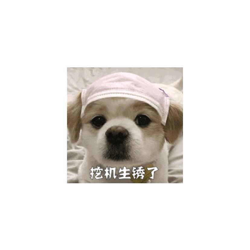 千阙