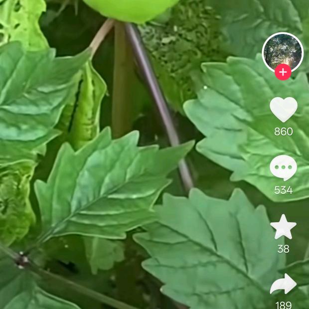 晨光