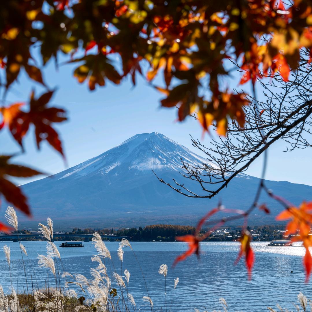 ch（沒有抖幣）