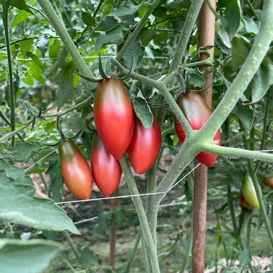 小鲜女生鲜食品店