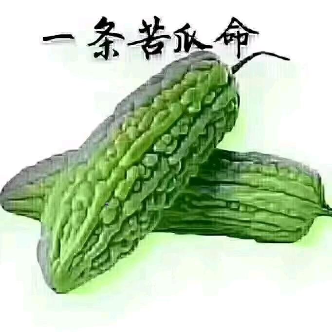 风里雨里，我在等你