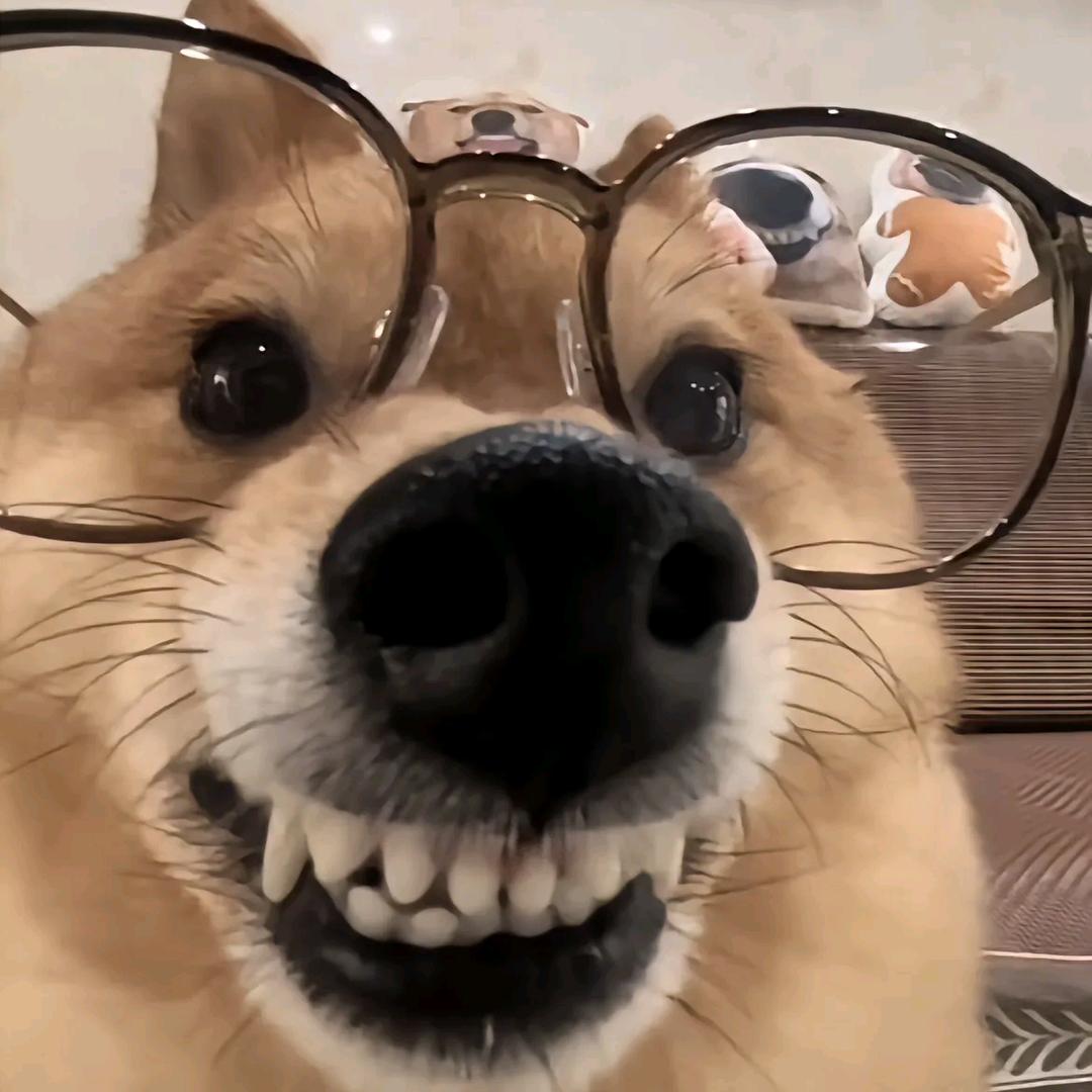 AAA重卡全险朱师傅（只跑国道）