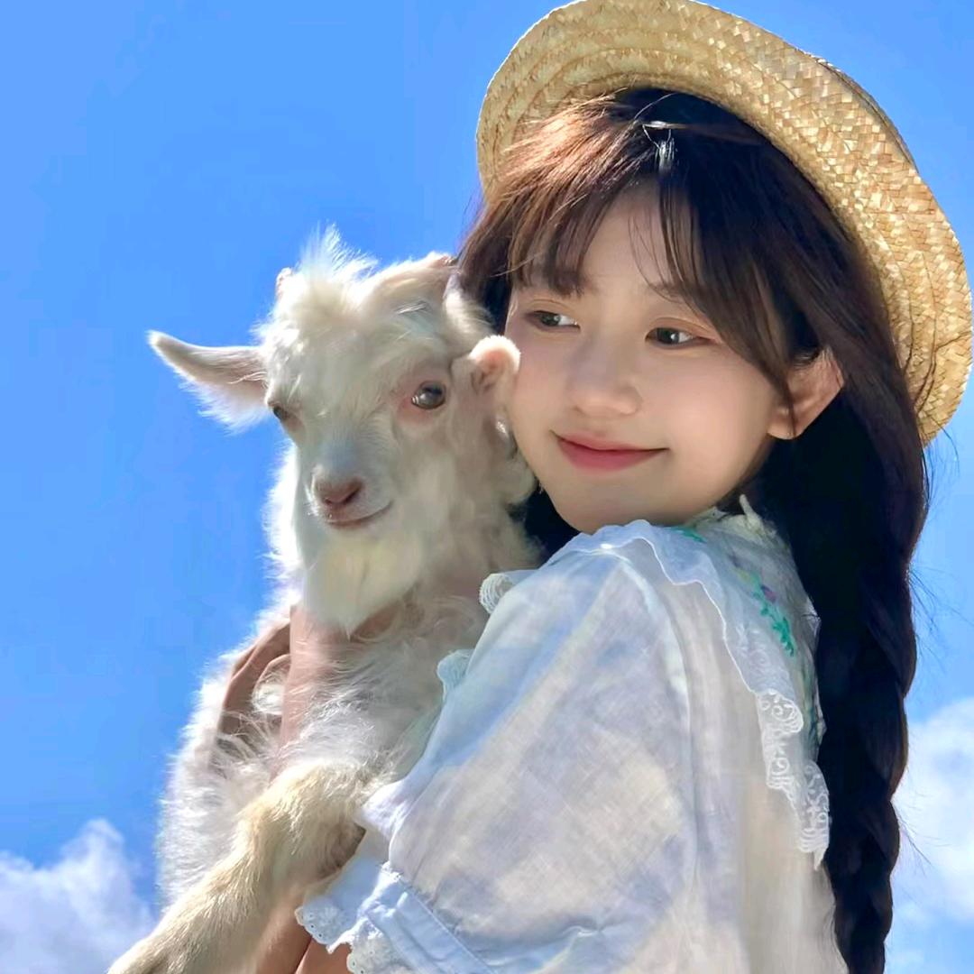 夏夏来了（团攻略）