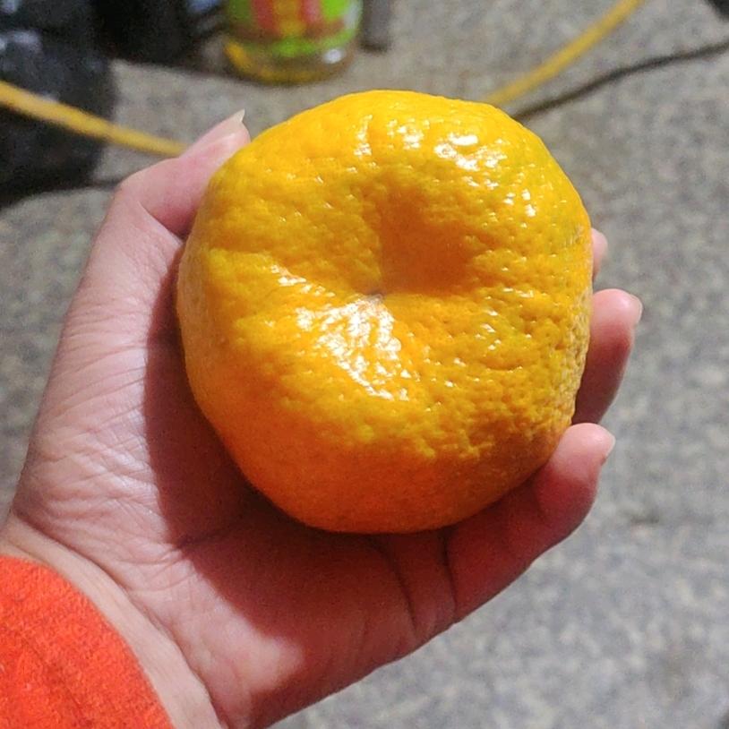 会呼吸的雨🌞