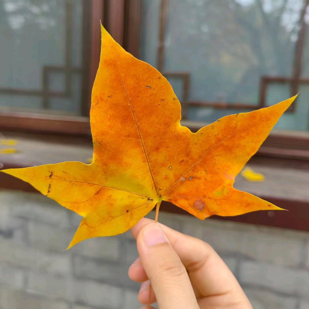 俗人爱财（记录日常）