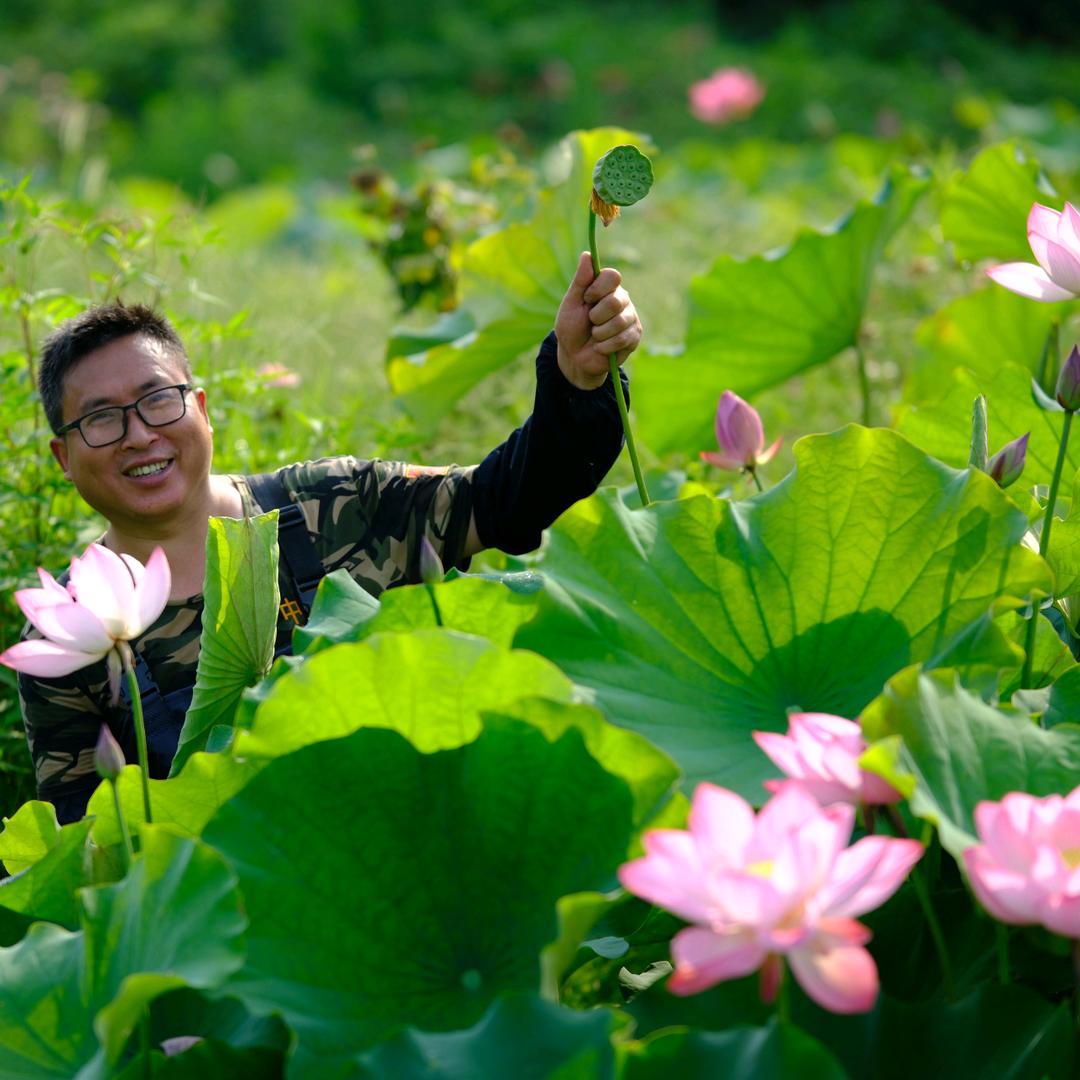 竹莲农夫！绍乐农业