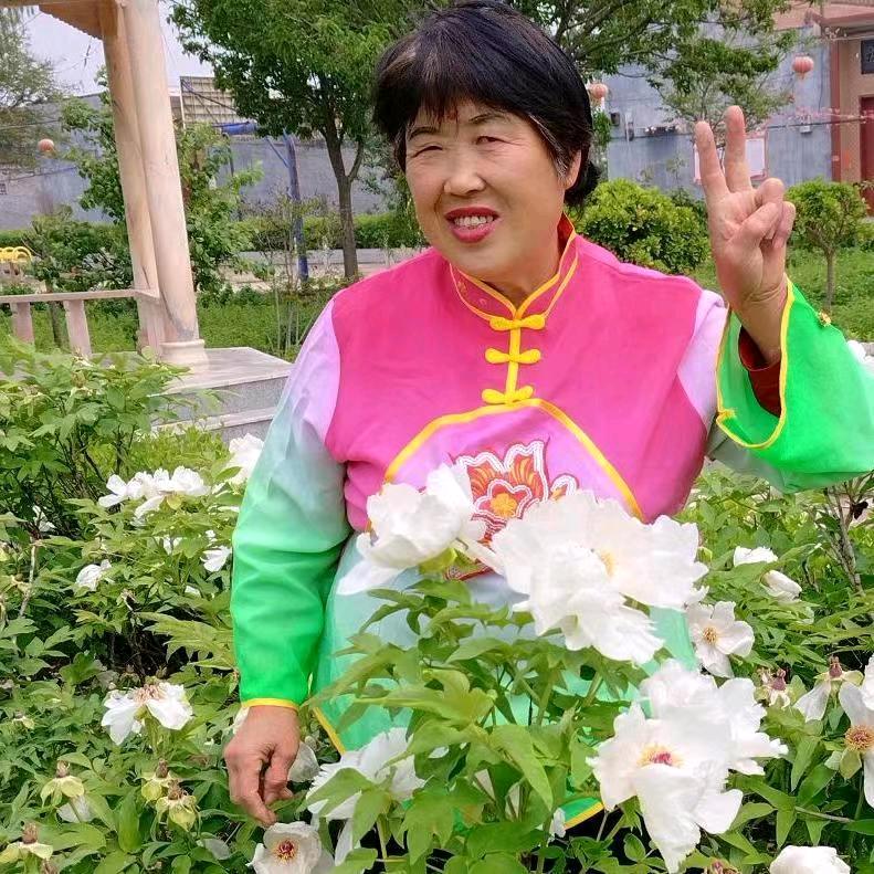 梅花弄3