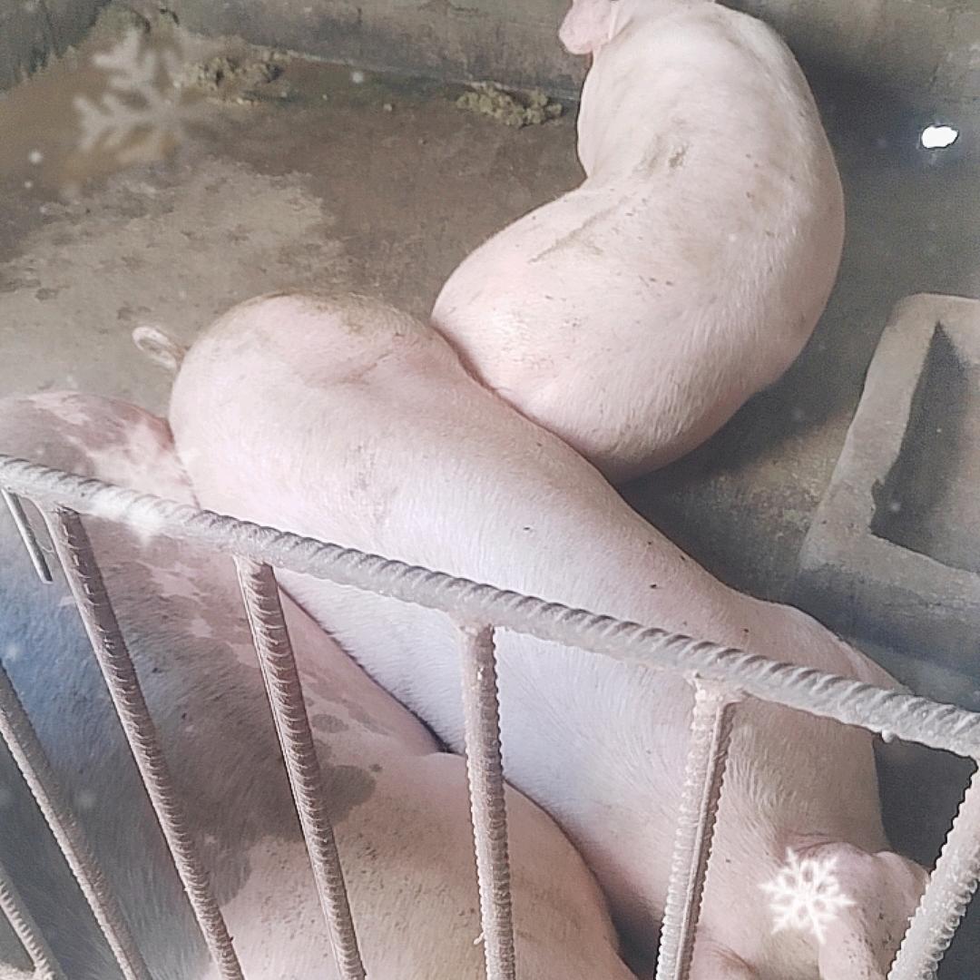 今生只有你