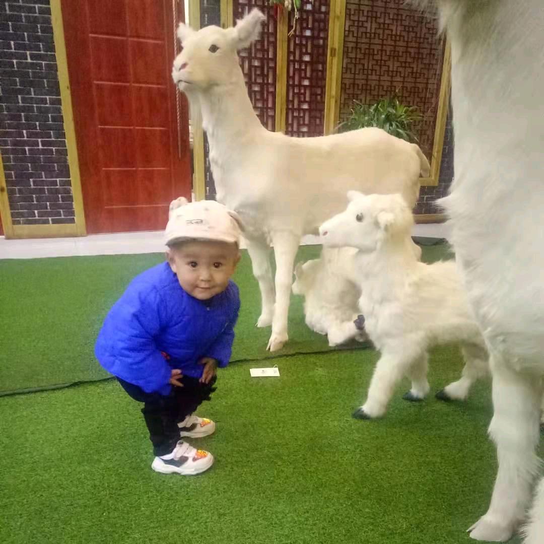 ꕥ᭄💞半颗ഒᩚᩭ糖᭄ꦿ℘