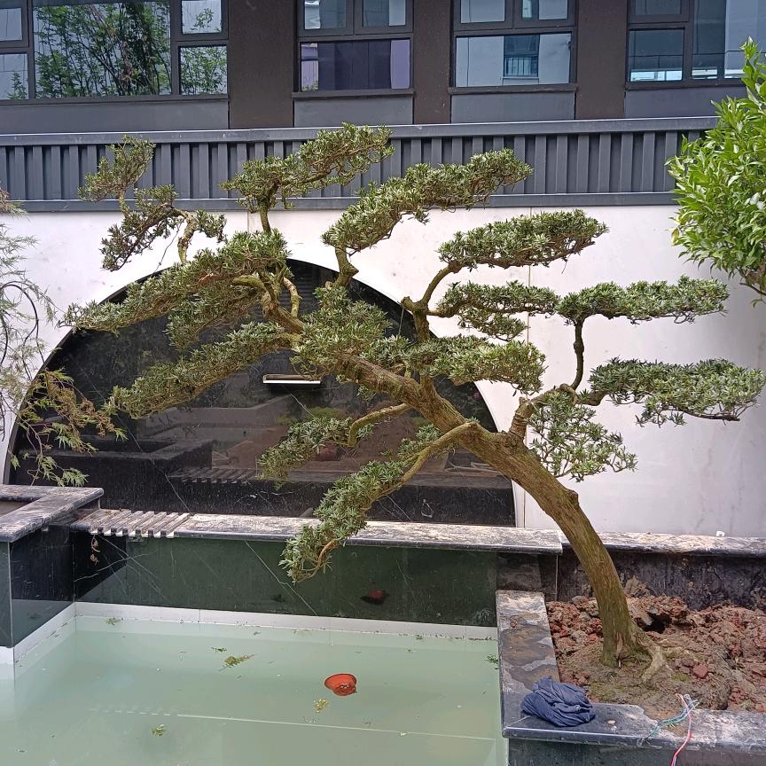 温江袁师园艺场