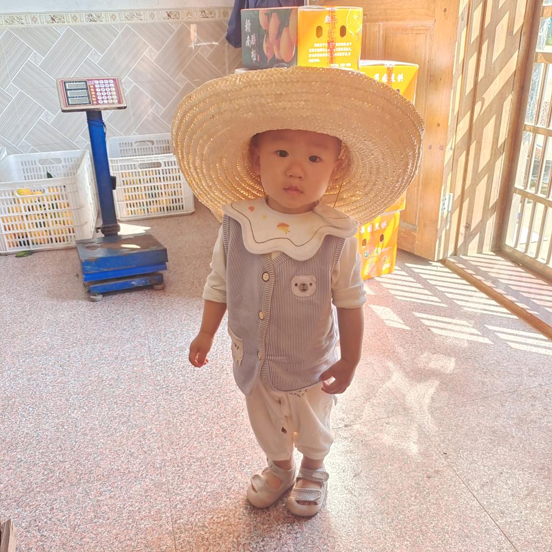 华源家庭农场赣南脐橙