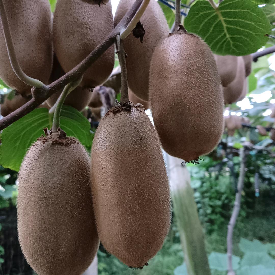 এ杯中烈酒໌ᮨ🚬敬余生