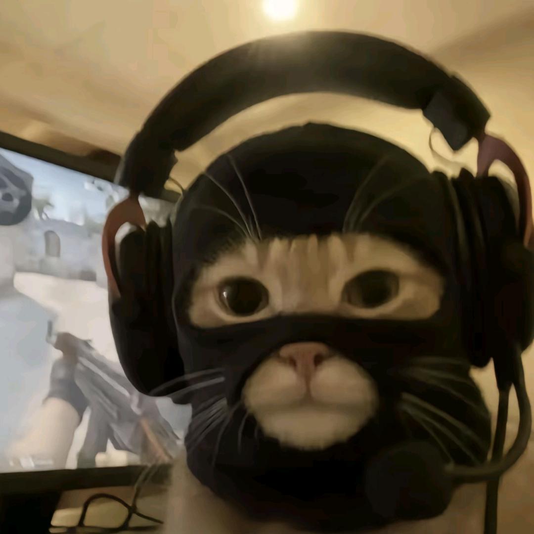 Miao老板（江南无业游民）