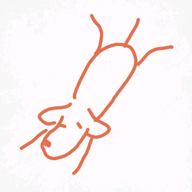黑黑是只老🐹