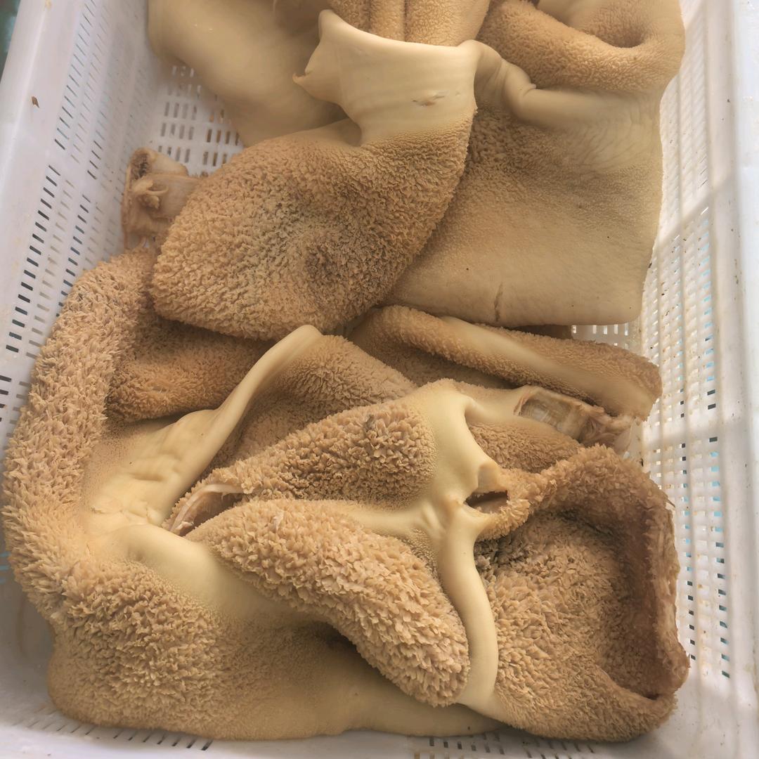 熟食卤味牛肉牛杂肥肠猪耳朵鸡爪厂家～花花