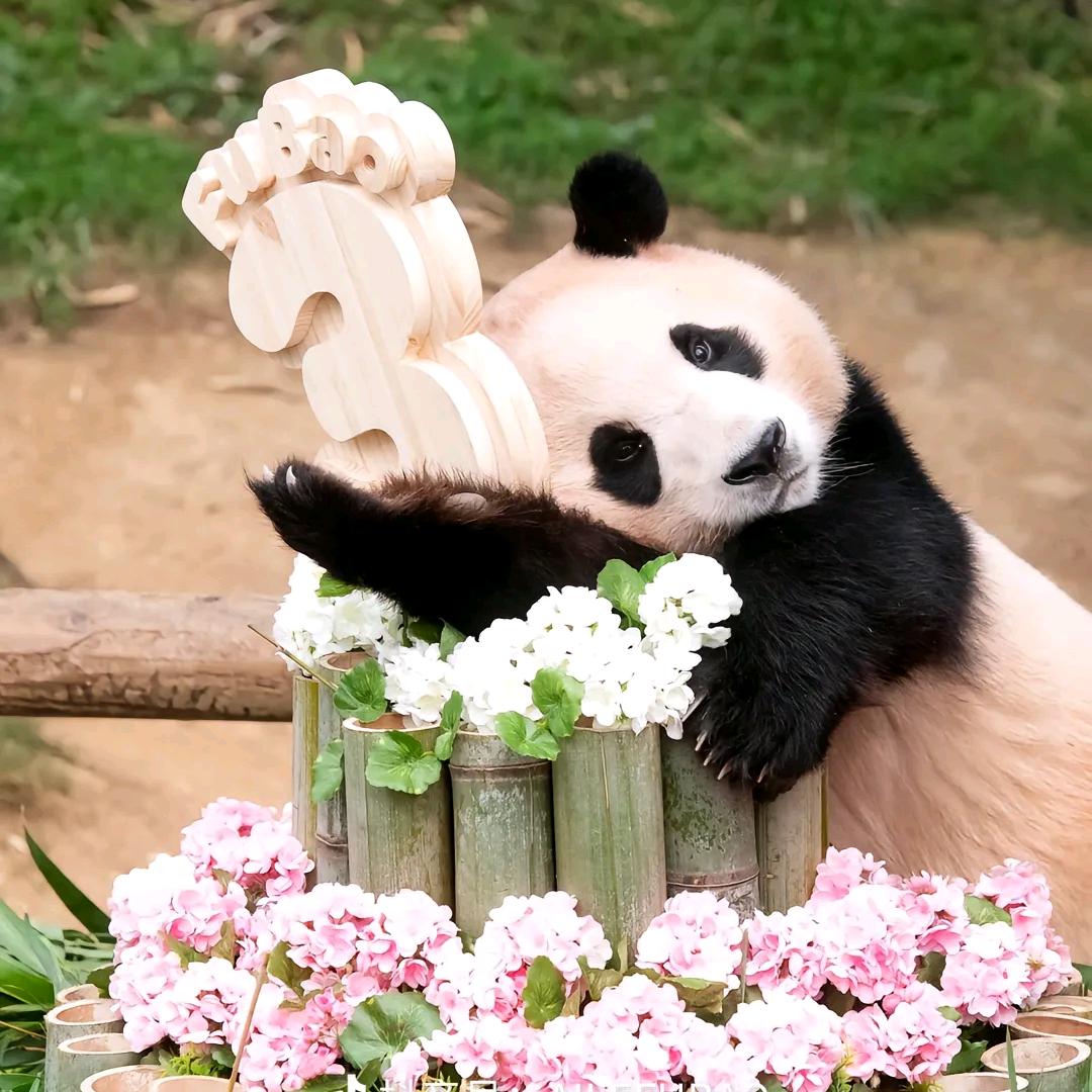 今喜花艺～美玲