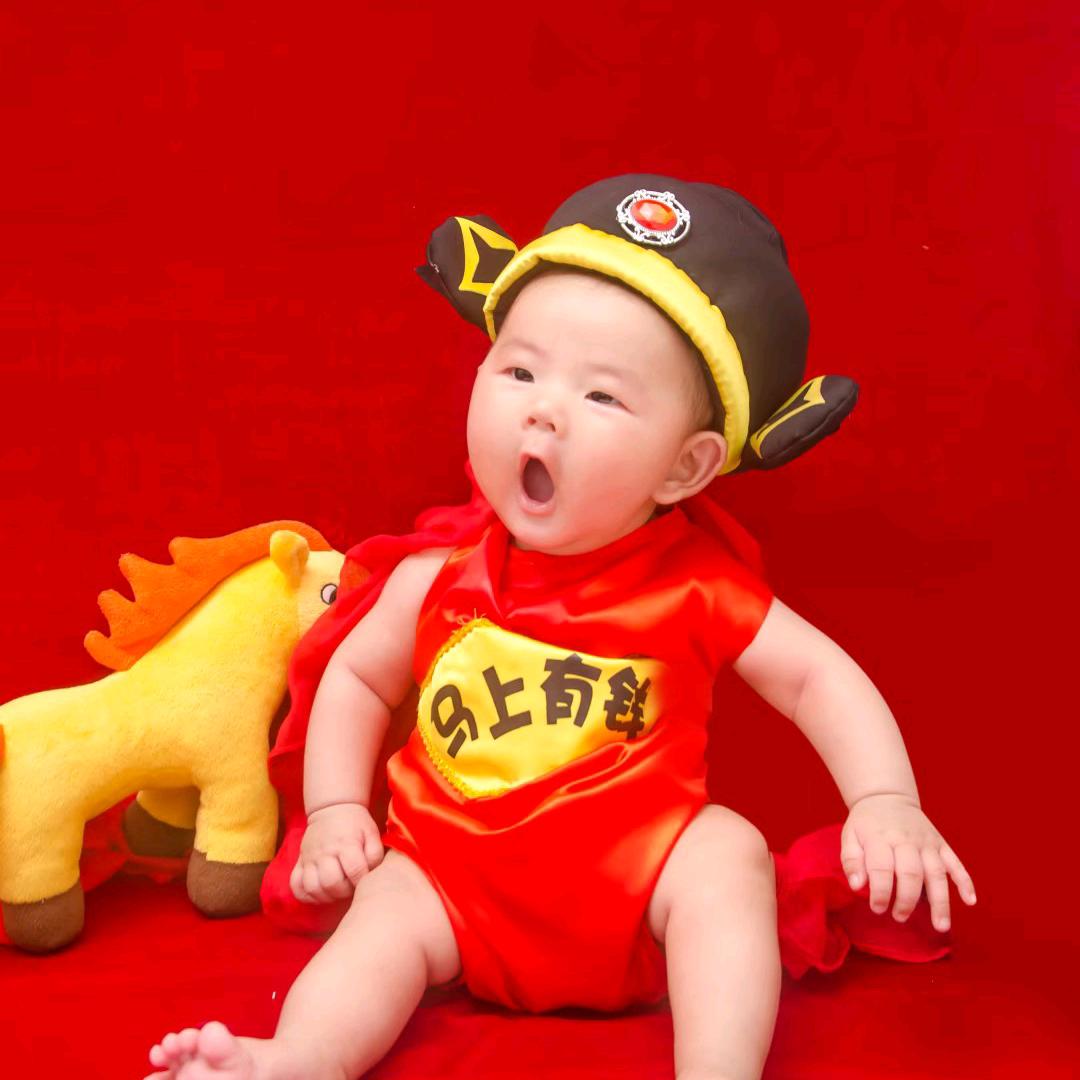 鹤舞白沙，我心飞翔
