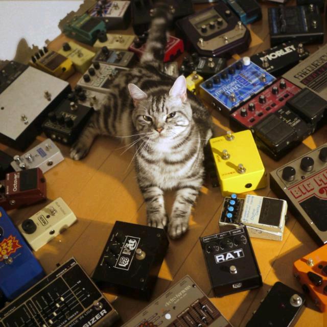 一个坏人