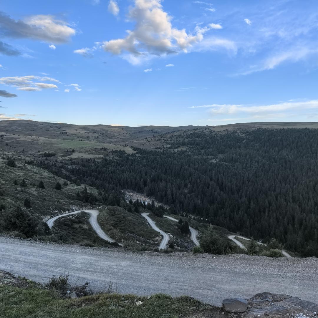 愿为草木一秋轮