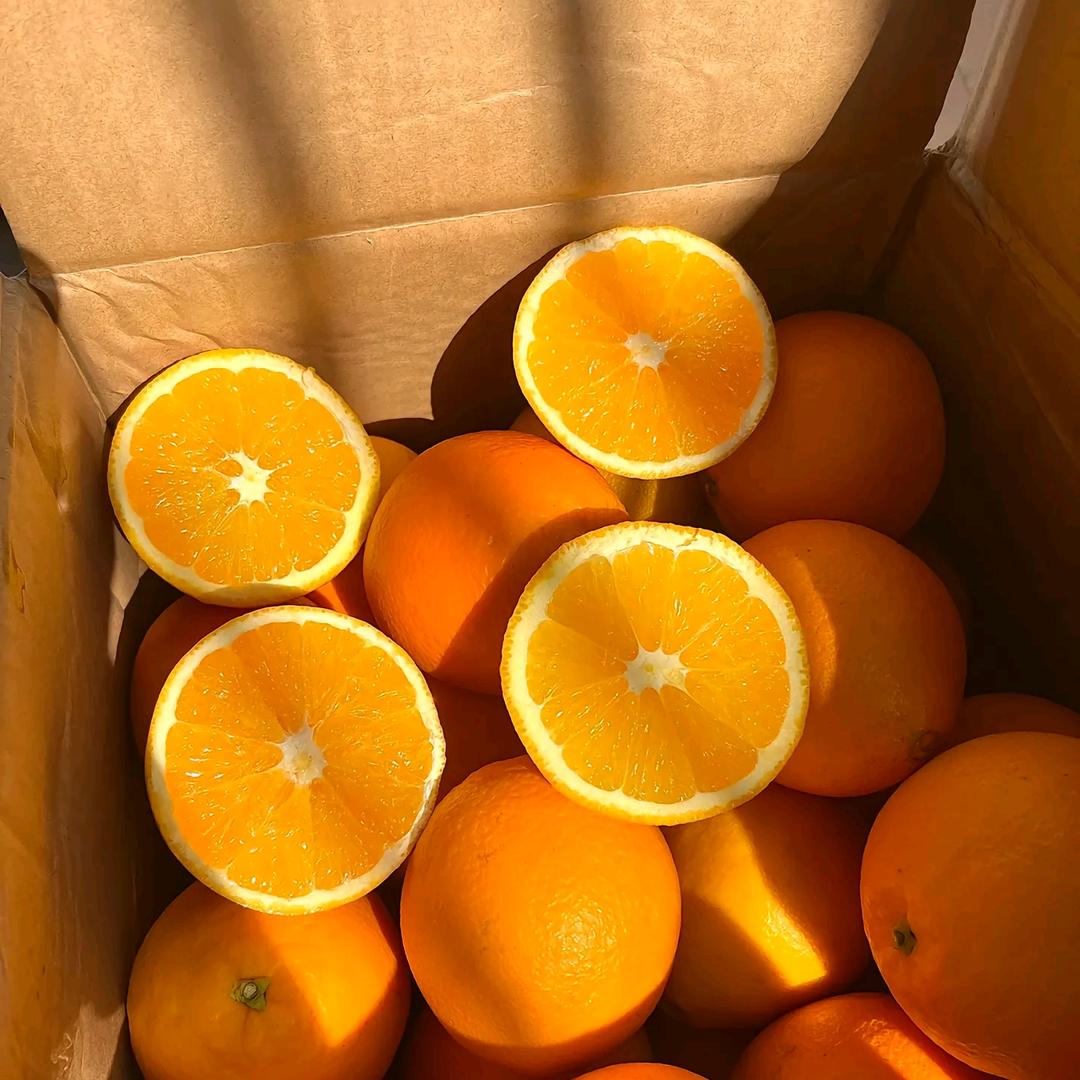 赣南脐橙-郜白竹直营店