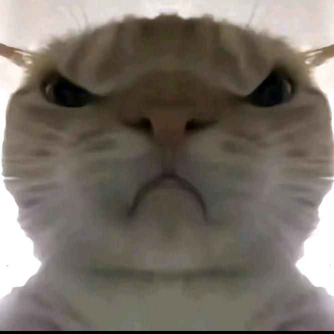 和平精英日常地铁逃生